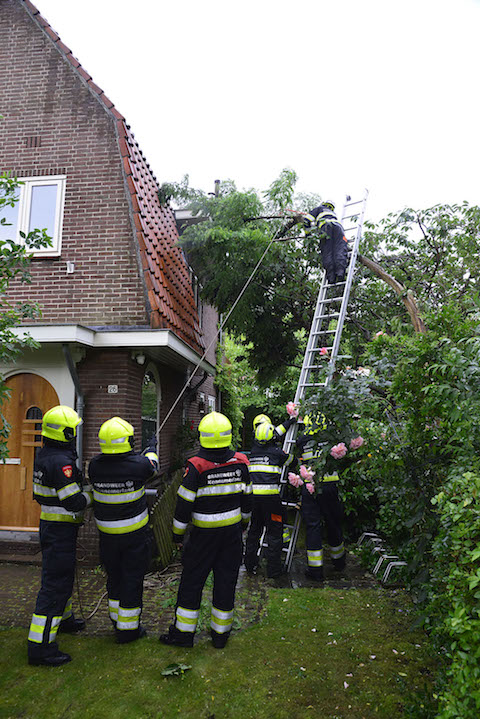 2017/120/20170606-19u21 GB 004 Stormschade Zilvermeeuwstraat.jpg